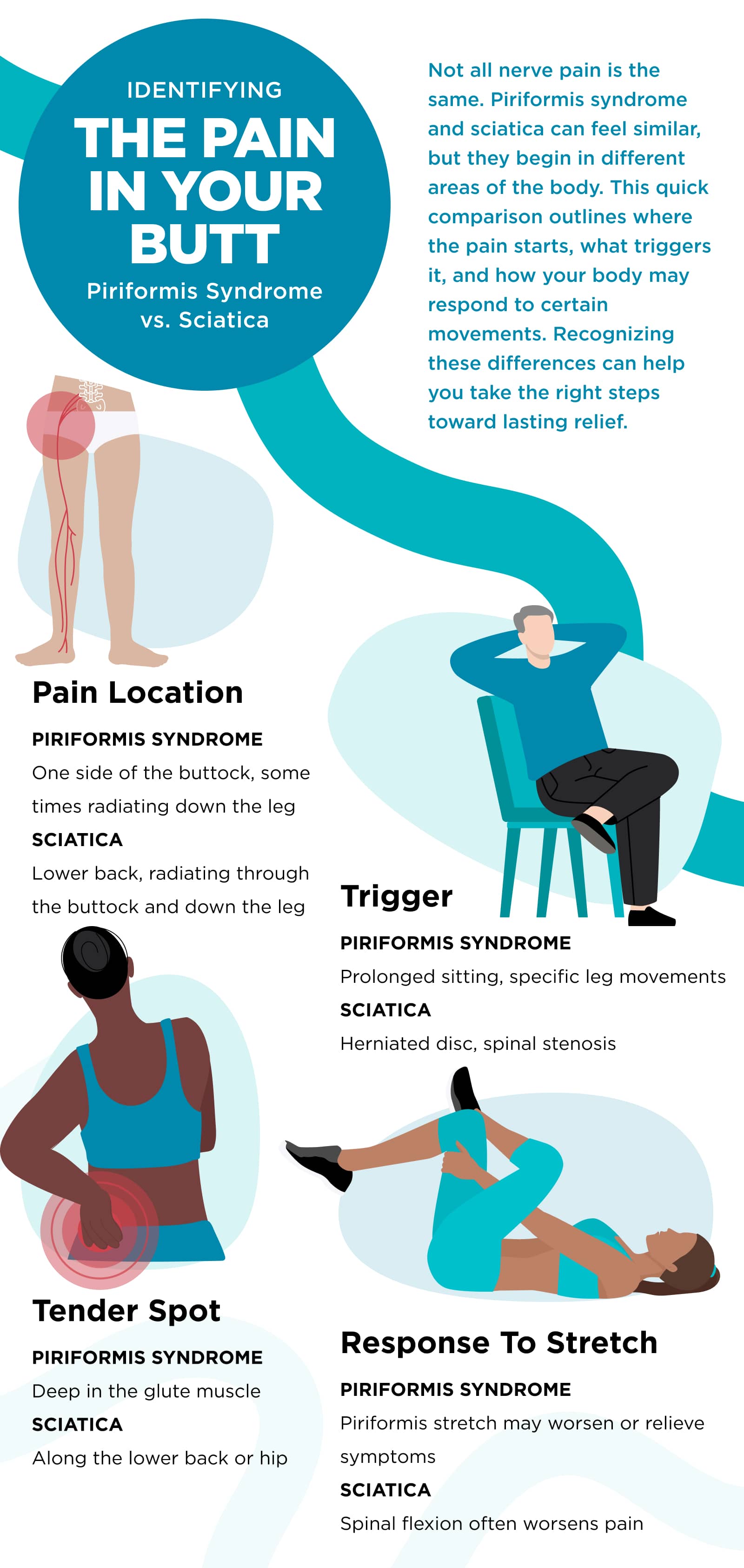 Why Does My Butt Hurt Infographic comparing piriformis syndrome vs. sciatica and buttock pain, including pain location, common triggers, tender spots, and response to stretching.