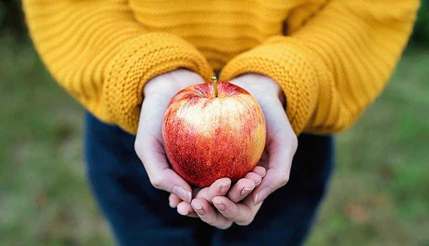 Food in Your Hands