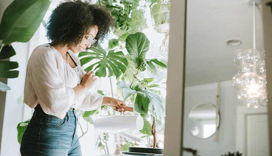 Your House Plants
