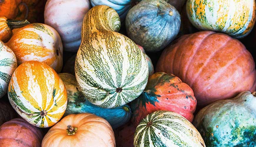 Gourds for Good