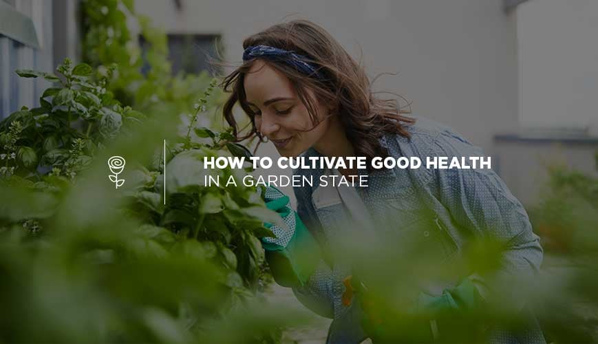 Growing Your Garden