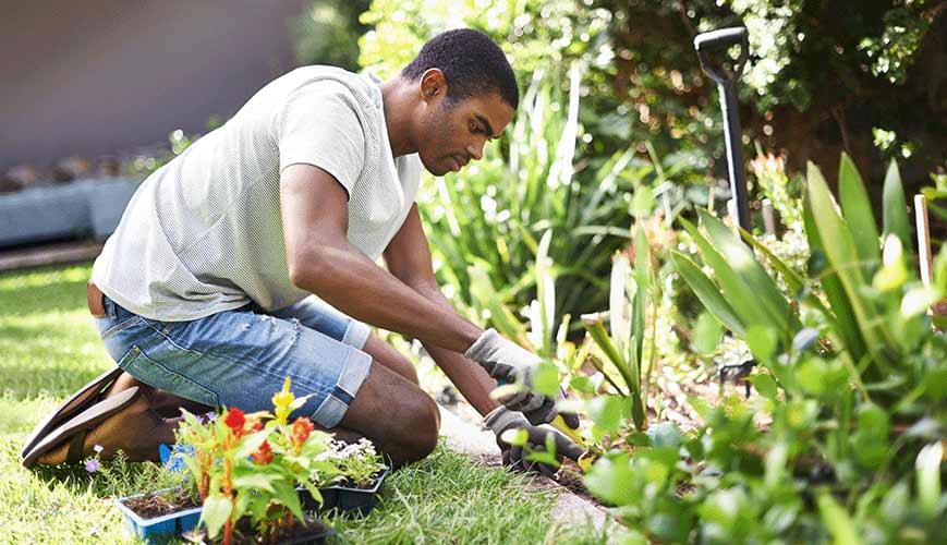 El trabajo en el jardín es un trabajo duro: consejos para evitar lesiones