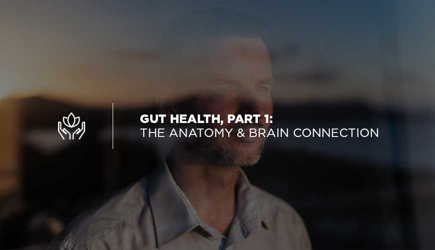 Gut Health, Part 1
