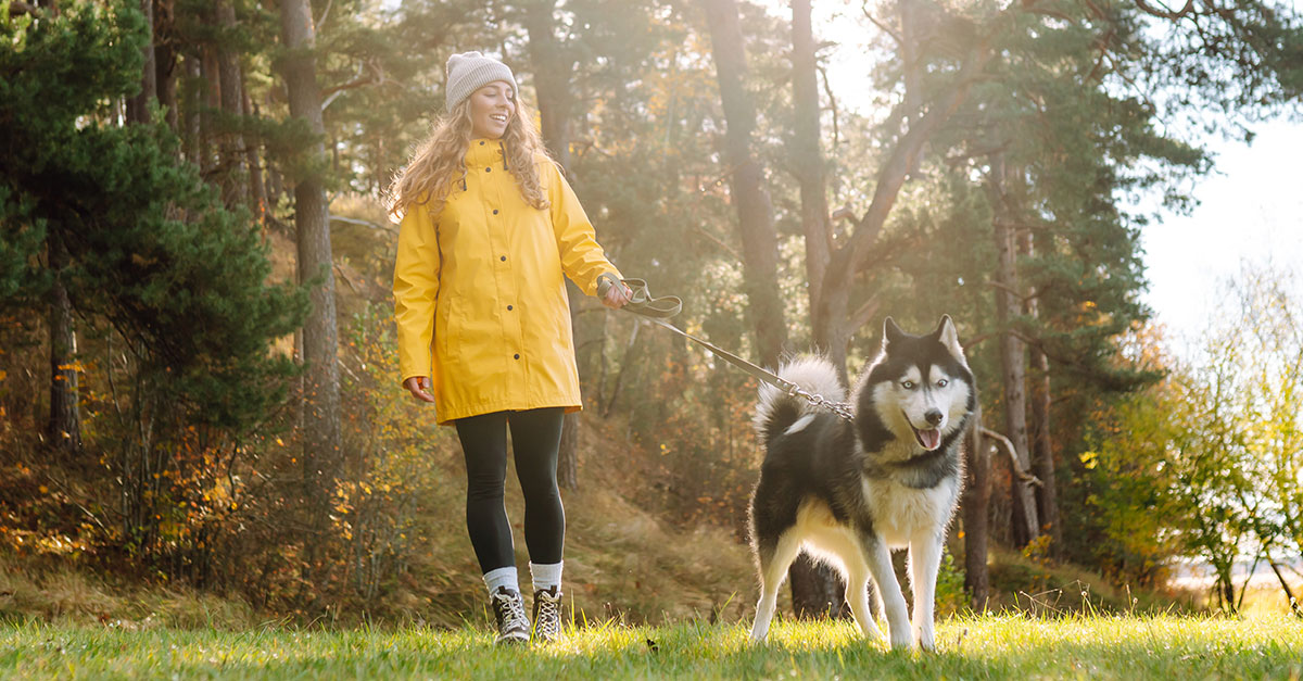 Woman walking her dog on a cold winter morning, showing how regular movement supports joint flexibility and reduces stiffness in cold weather.