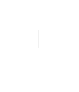 t3